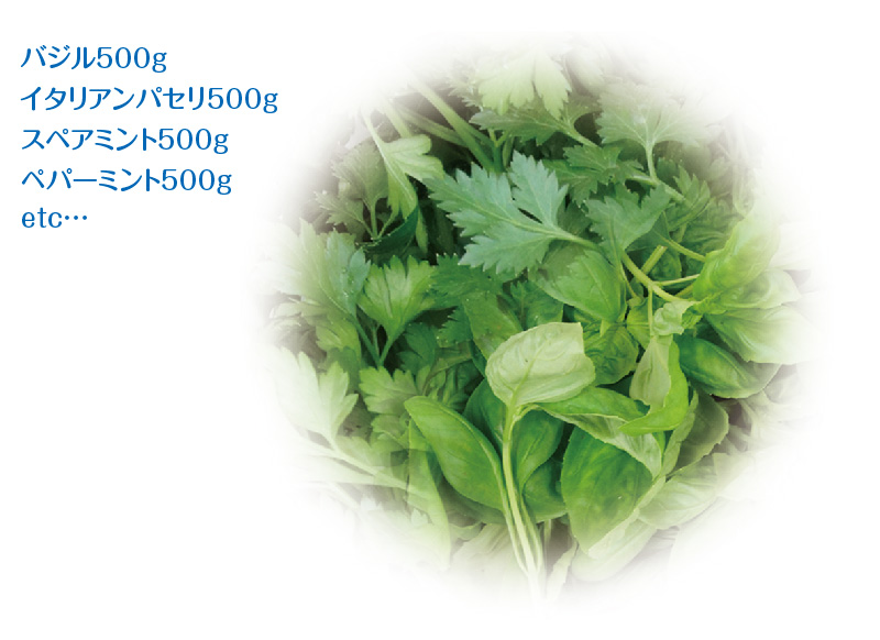 herb-03-02