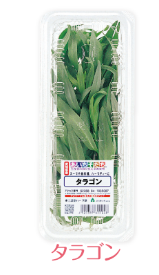 herb-12