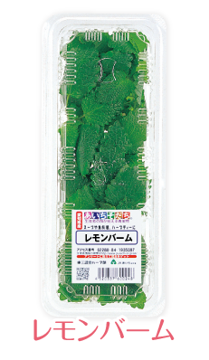 herb-13