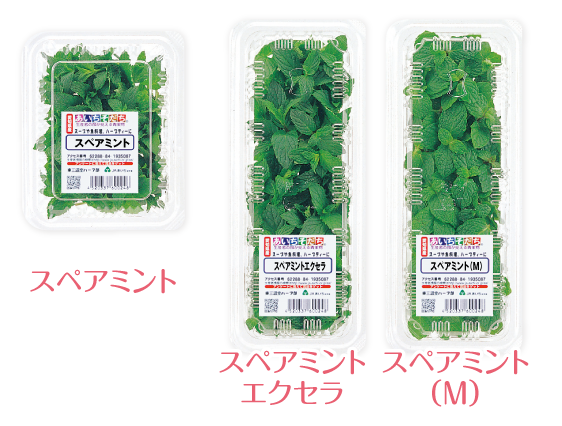 herb-15