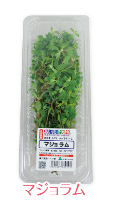 herb-18