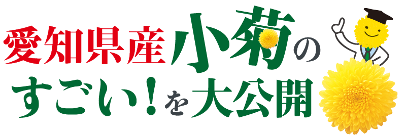 菊花部 東三温室園芸農業協同組合 菊花部 東三温室園芸農業協同組合