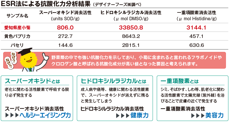 菊花部 東三温室園芸農業協同組合 菊花部 東三温室園芸農業協同組合
