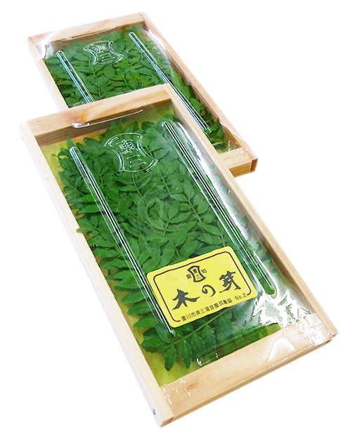 kinome02